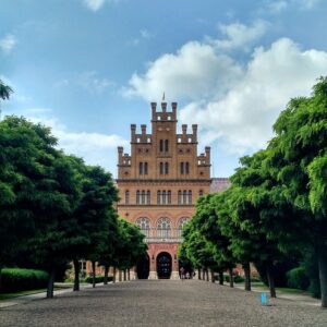 College Admissions - Application Essay Proofread and Critique